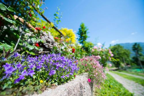 Pension Stamserhof