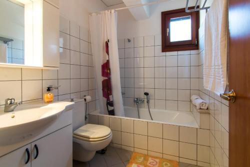  Villa Pylona in vlicha