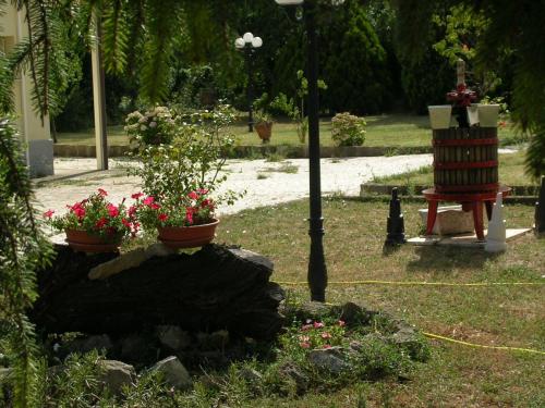Guest house Il Nido - image 3