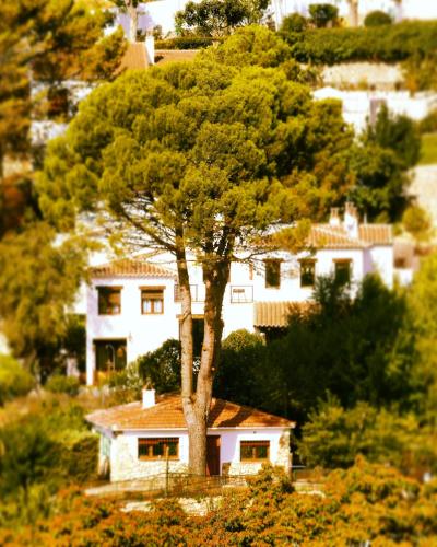 Olmedilla in Olmeda de las Fuentes