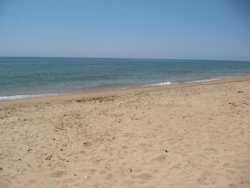 Life Apartments El Rompido - image 4