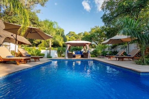 Garten, Ngoma Zanga Lodge in Livingstone