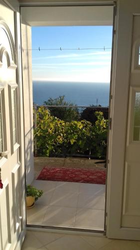 Apartment Vuk i Novak - image 11