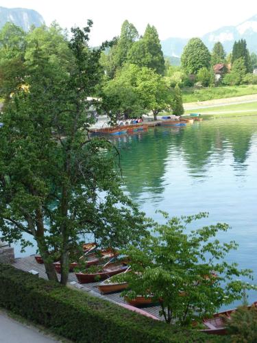 B&B Pletna a Double Lake-View Room