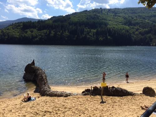 le grenier d'Annick in Villefort