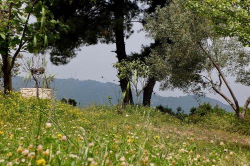  Cozy Home with View in Agia Anna in Agia Anna