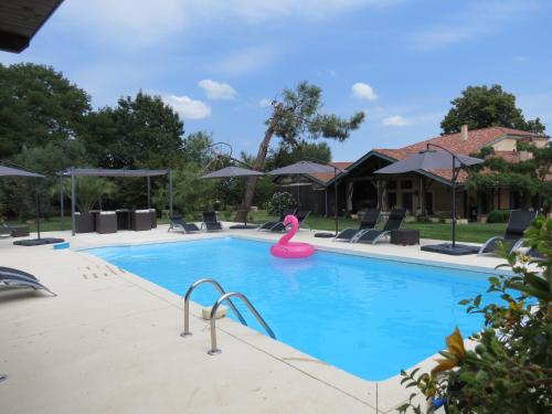 Les Terrasses des Mimosas - Chambre d'hôtes - Caumont-sur-Garonne