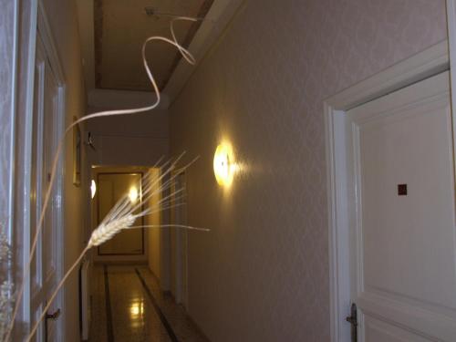 Hotel Texas - image 4