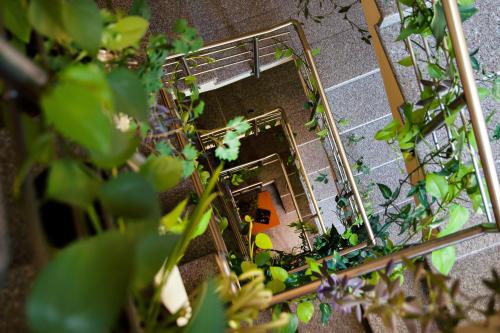 Family Hotel Gerdjika - image 8