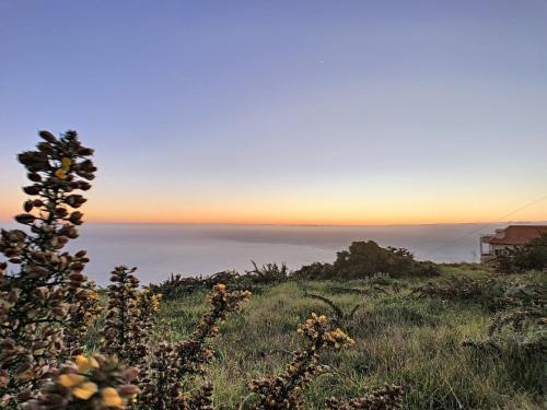 Ovelha do Sol by MHM
