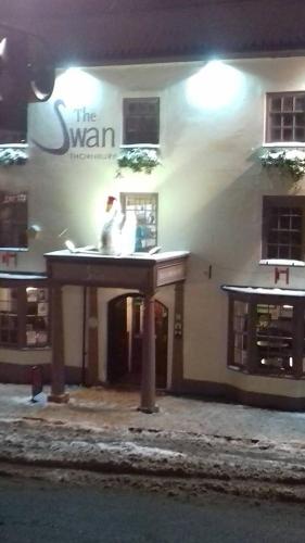 The Swan - main image