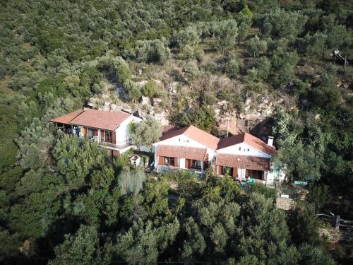 Dimitra Apartments - image 2