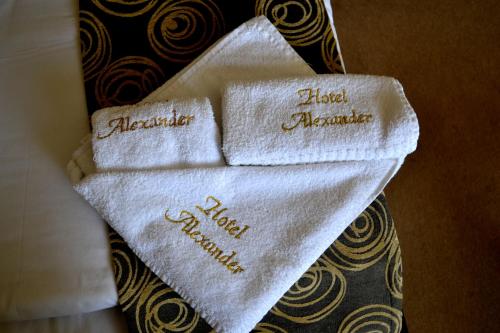Alexander Hotel - image 14