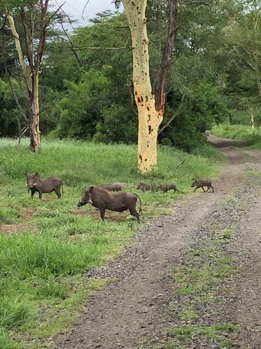Msunduze River Lodge