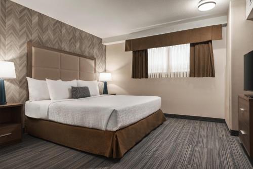 King Studio Suite