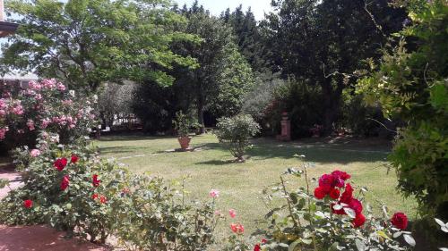 Villa Fabbri - Accommodation - Gradara