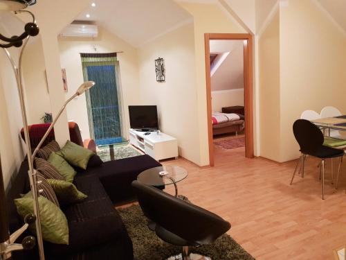 Apartman Vid - Location saisonnière - Sokobanja