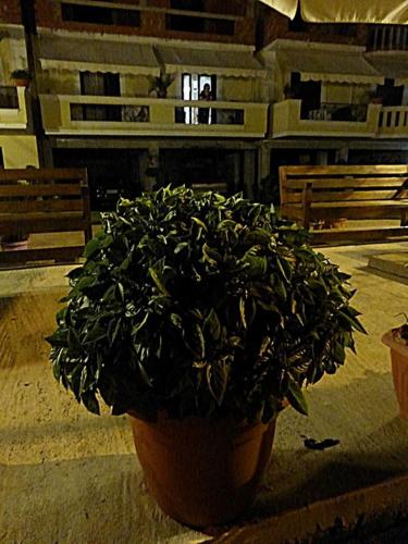  Balaska House in Region Ilia