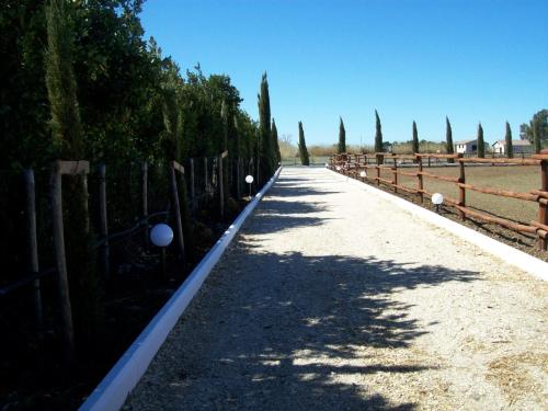 Il Vivaio - image 7