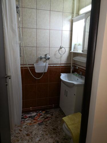 CENTRAL STUDIO HUNEDOARA