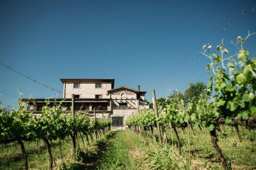 Casale Verdeluna Wine Resort 3