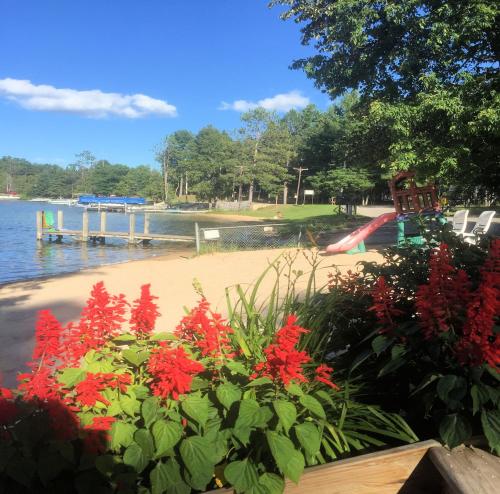 Clear Lake Resort in West Branch, USA