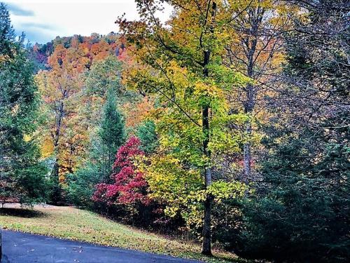 Smokies Edge Chalet