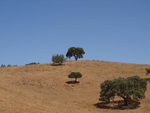 Herdade dos Montes Bastos - image 4