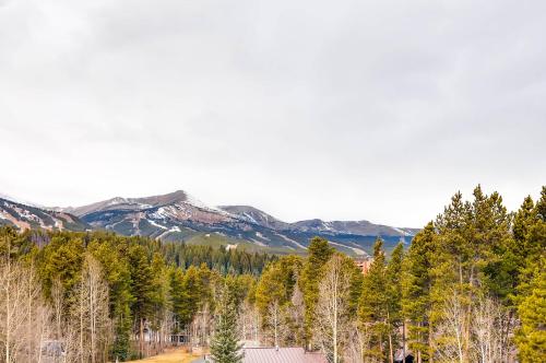 Woods Manor 301A in Breckenridge, USA