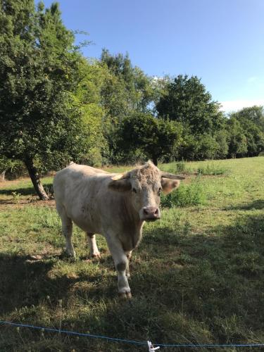 La Bergerie du Domaine des Buissonnets