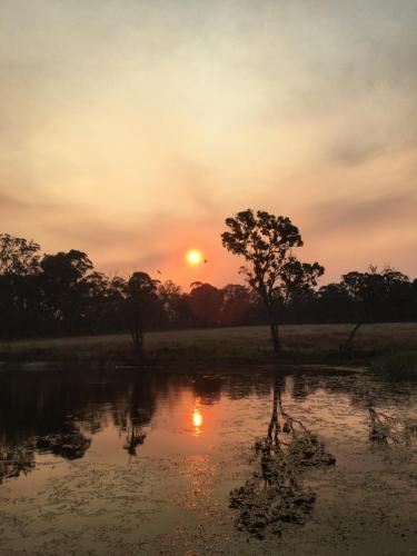 Serenity on Stanthorpe