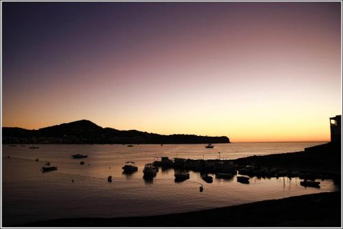 Hotel Argos Ibiza - image 6