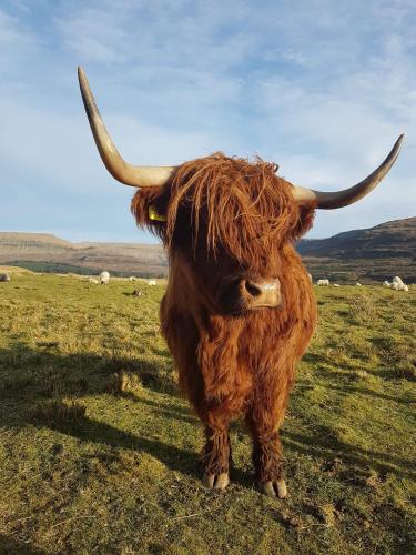 Trotternish B&b