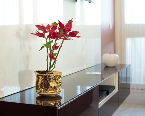 Apartment Amalfi - image 11