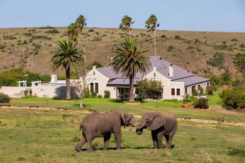 Exterior view, Lalibela Game Reserve - Mills Manor in Eastern Cape