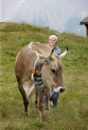 Hamilton Lodge & Spa - image 10