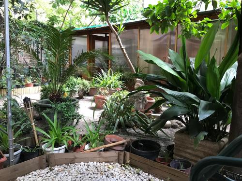 La Casa di Elena 3