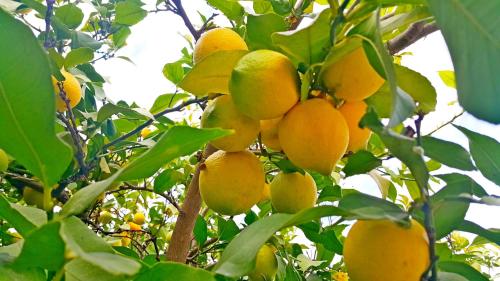  Апартаменты с двумя спальнями 80 м.кв. in Kemer