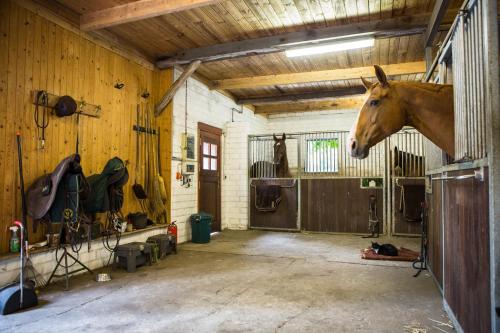 Davidshof, Bed & Breakfast Davidshof, Bed & Breakfast