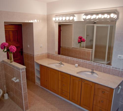 Zámek Nové Město nad Metují - image 2