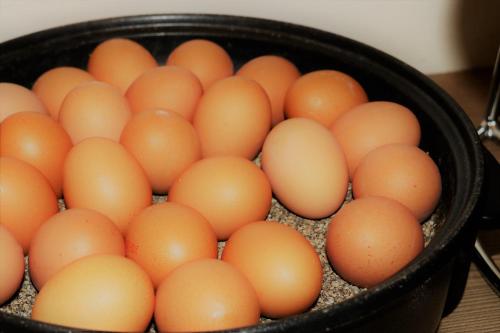 ノヴム ホテル ハンブルグ シュタットツェントラム