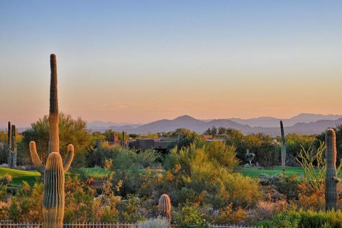 Sun Kissed 1 BR by Casago - image 6
