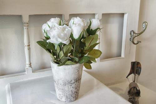 Bluegum Hill Guesthouse & Apartments