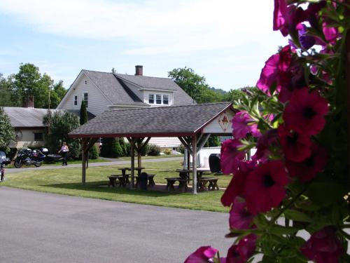 入口, 楓葉汽車旅館 (Maple Leaf Motel) in 利特爾頓