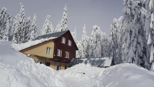 Cabana Mălina Vârtop