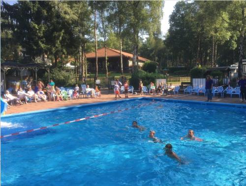Swimming pool, Kunstenaars Boshuisje Veluwe in Bosgebied Hoenderloo