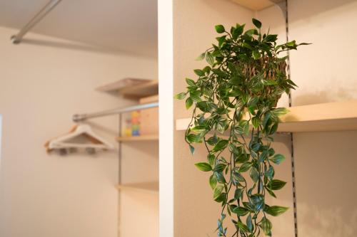 Roppongi ClassyHouse902 - image 2
