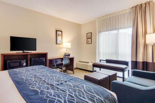 Comfort Inn Roswell-Dunwoody