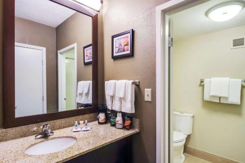 Comfort Inn Roswell-Dunwoody