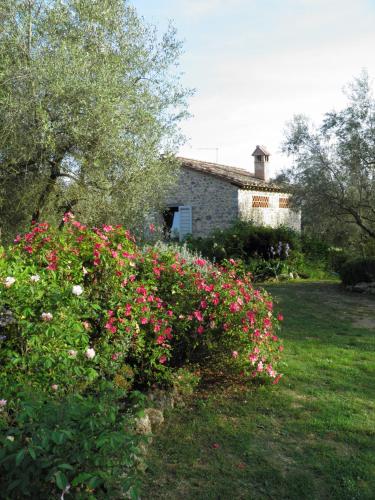  Casa Spadini, Pension in Lucciana